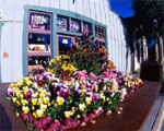 Bed and Breakfasts of Summit County